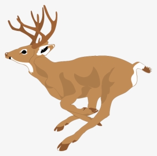 Deer, Run, Side, View, Forest, Leaping, Animal, Fast - Deer Running Clipart #7874929