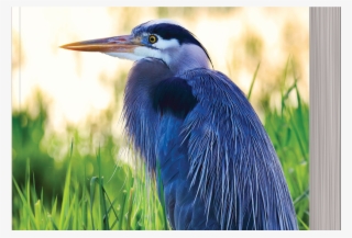 Celebrating The New Year #7875315