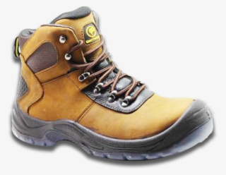 Steel Toe Shoes Specification - Hiking Shoe #7878561
