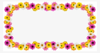 Report Abuse - African Daisy #7879976