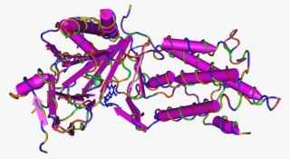 3lfm Fat Mass And Obesity Associated Protein - Fto Protein #7880576 3lfm Fat Mass And Obesity Associated Protein - Fto Protein #7880576