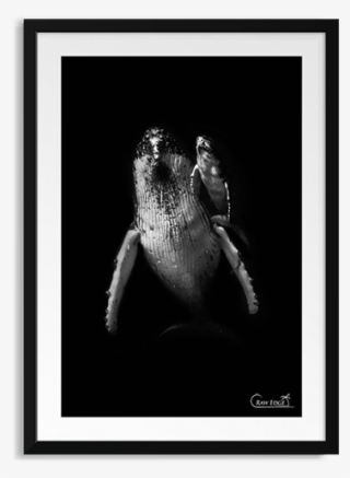 Raw Edge Photo Frames Junior - Picture Frame #7882061