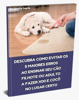 Nome Do Arquivocapa Fundo Transparente - Puppy #7883191