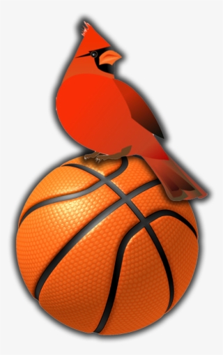 The Woodlawn High School Cardinals Will Be Playing - Mario Sports Mix Basketball #7885420