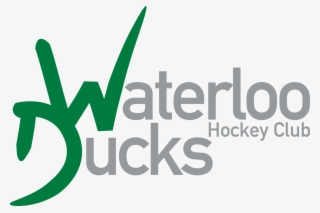 Ehl - Bucketheads All In The Mind #7887294