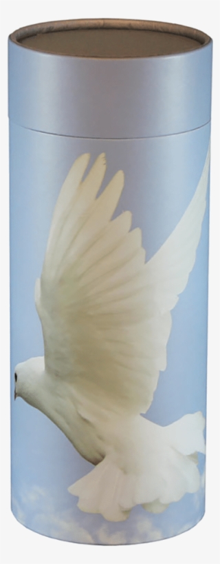 Bio Tubes - Scattering #7891257