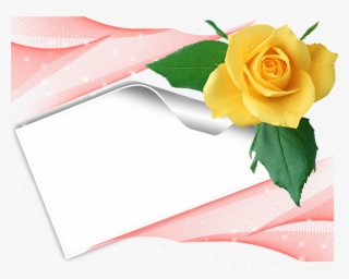 Jaune Rose - Floribunda #7891708