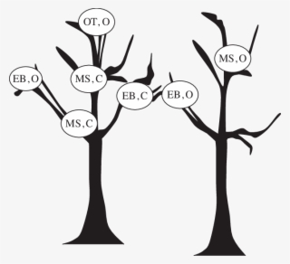 Nest Site Locations #7891864