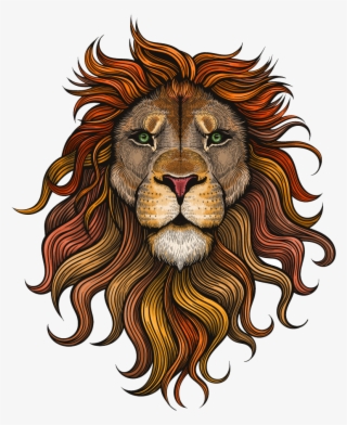 Lion Png - Vector Color Lion #7893588 Lion Png - Vector Color Lion #7893588