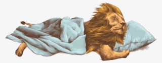 Lion Png - Lion Sleeping Cartoon #7893696