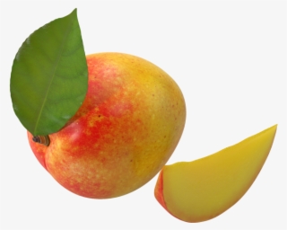 Mango - Fruit #7893838