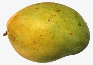 Sebuah Mangga #7893920