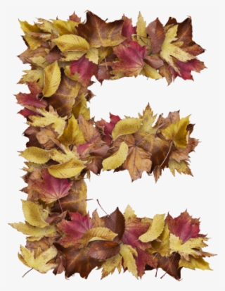 Letter E From Dry Leaves - Prince Of Wales Feathers #7894155