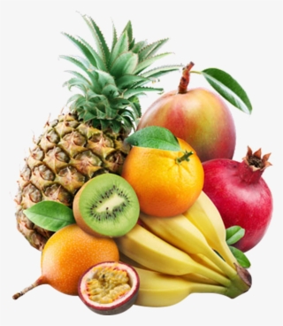 Download - Logo For Fruits Shop #7894280