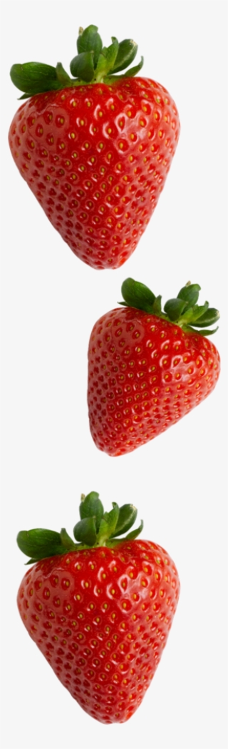 Strawberry Cacao - Strawberry #7894780