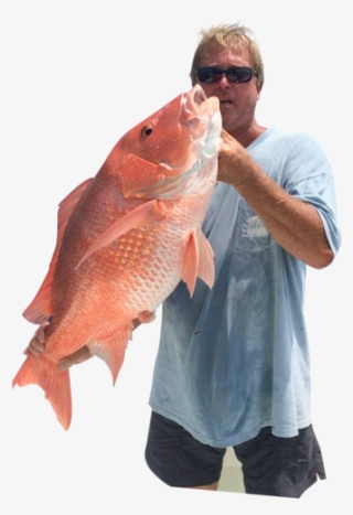 Port Canaveral And Nearby Sebastian Inlet Allow Access - Red Snapper #7894782