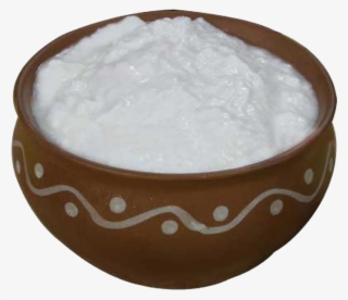 Dahi Curd Yogurt - Milk Dahi #7895229