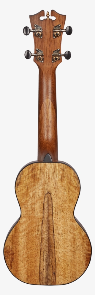 Hardwood #7895649