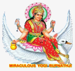 Worlds No 1 Vastu Expert - Art #7896134