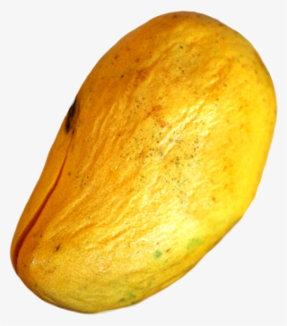 Overripe Ataulfo Mangos Should Be Rejected - Overripe Mango #7896288