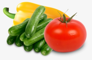 Drygair Is A Useful Growing Tool For A Variety Of Crops - Transparent Background Cucumber Png #7896421
