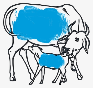 Vedic Planning For Dairy Farming - Cow And Calf Easy Drawing #7896717