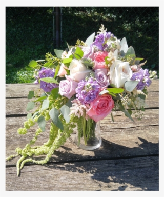 Prev - Garden Roses #7896847