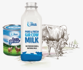 Product-banner - Plastic Bottle #7897273