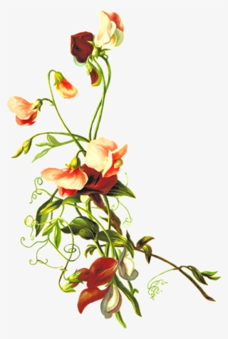 Flower Leaf Png - Flowers And Leaves Png #7897302