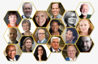 D﻿iscover﻿﻿﻿ ﻿﻿how To Focus On Your Whole Tribe, ﻿﻿spread - Social Group #7898224