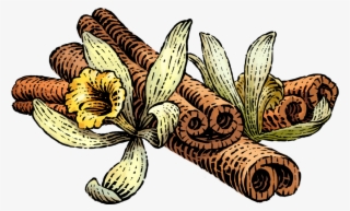 Transparent Stock Siggi S Icelandic Style Yogurt Skyr - Siggi's Yogurt Vanilla Cinnamon #7898520