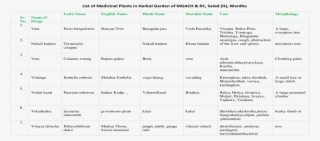 List Of Medicinal Plants In Herbal Garden Of Mgach - Document #7899016