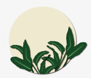 矢量绿色植物黄色背景 - Circle #7899142