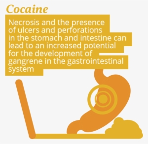 Cocaine Use And Stomach-issues - Quotes #790022 Cocaine Use And Stomach-issues - Quotes #790022