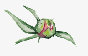 Green Branch Transparent Ornament Material - Flori Mumajesi #792031