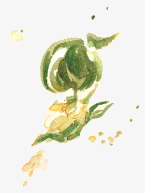 A Preview Of My Tea Leaves Study For A Zine Called - Garden Roses #792188