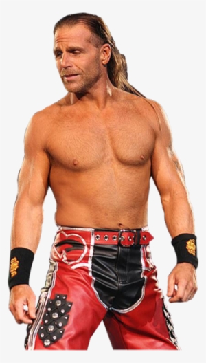 Shawn Michaels Hbk - Minneapolis #792365