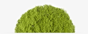 Matcha Is A One Of A Kind Green Tea - Matcha Green Tea Powder Png #792563