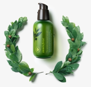 The Green Tea Seed Serum - Innisfree Green Tea Seed Serum Png #792810