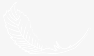 Home - White Colour Dp For Whatsapp #793263