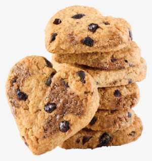 Biscuits Chocolat Noir 70 % Cacao Et Bleuets Sauvages - Dark Chocolate #793836