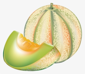 Melon Clip Art #794222