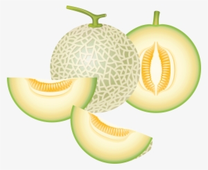 Cantaloupe Png #794395