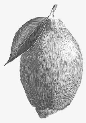 Lemon - Starfruit #794590