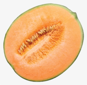 Honeymoon - Melon Png #794639