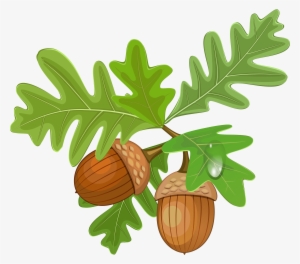 Transparent Leaves With Acorns - Acorn Clipart Free #794664