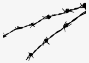 Barbwire Png Background Image - Barbwire Png #794692