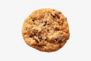Cranberry Oatmeal Cookie - Oatmeal Chocolate Chip Cookie Png #794718