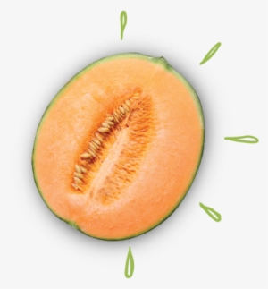 Royal Cantaloupe - Muskmelon #794784