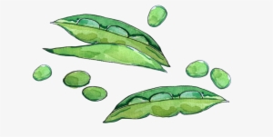 Peas June2018 Lyndsay - Green Pea #794831